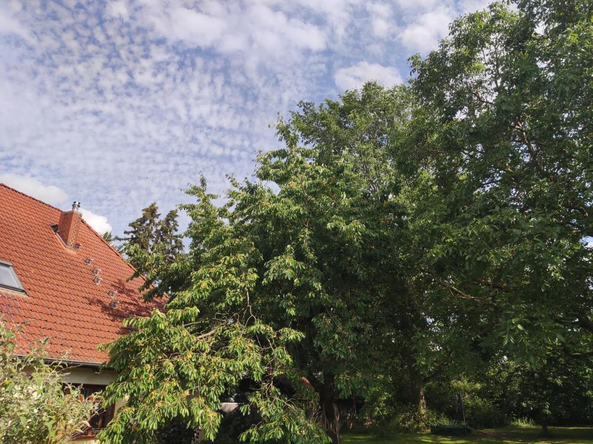 Five Oaks - Rote Wohnung Hohenkirchen  Esterno foto